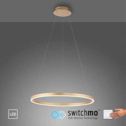 Pendellampa RITUS, mässing, ring design, LED, dimbar - Bild 8