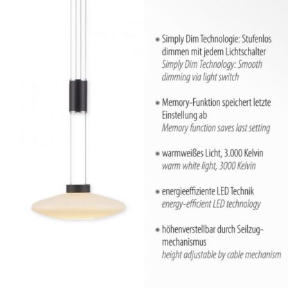 Pendellampa LAUTADA, LED rund svart dimbar höjdjusterbar - Bild 3