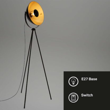 Golvlampa STUDIO, svart-guld, fotostudio lampa - Bild 2