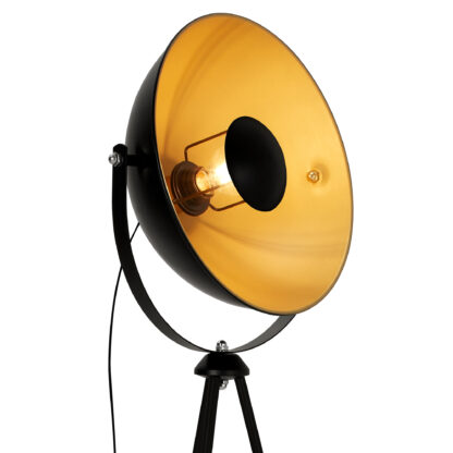 Golvlampa STUDIO, svart-guld, fotostudio lampa