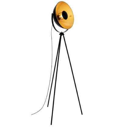 Golvlampa STUDIO, svart-guld, fotostudio lampa - Bild 6
