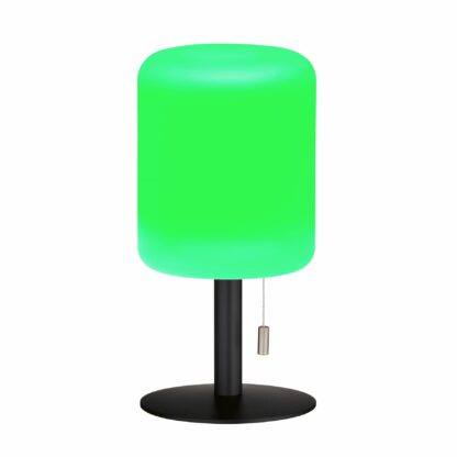 Bordslampa LARINO, outdoor light, sand anthracite, 2 steg RGB dimfunktion